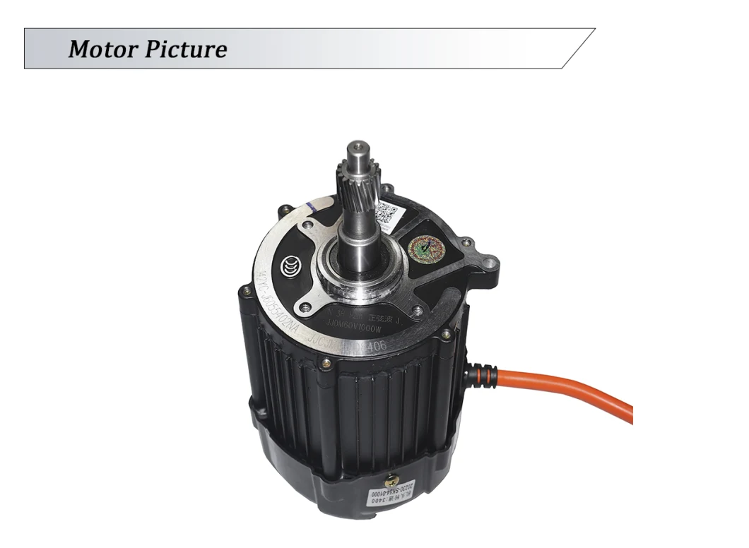 48V/60V 500W 800W Square Wave Motor for Electric Tricycle Car Differential Motor Head 120 Series BLDC Motor