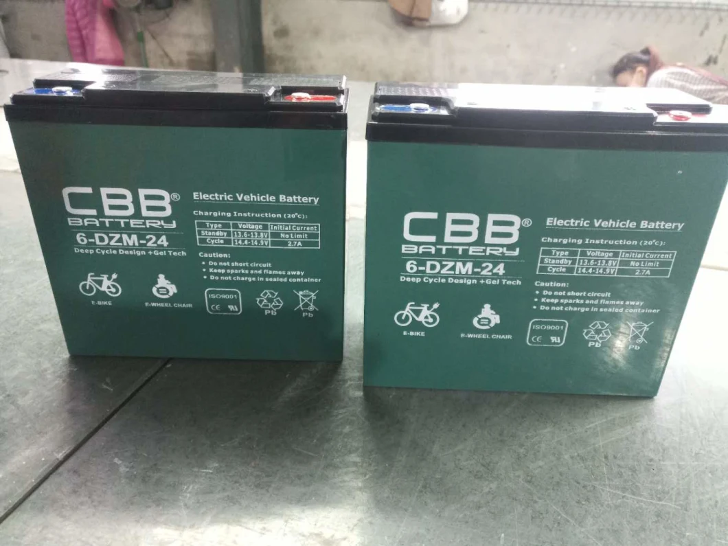 DC24-12 (12V24Ah) Deep Cycle Electric Scooter Battery for Bicycle