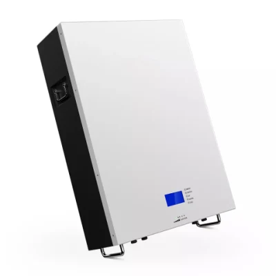 Rechargeable Energy Storage Battery 5kwh 51.2V 100ah Backup Power Home Solar Standby LiFePO4 Wall Mounted Battery