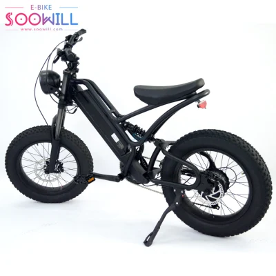 Black Series 500W Fat Tire Electric Bike with Two Wheels 48V 20A Foc Controller Ebike