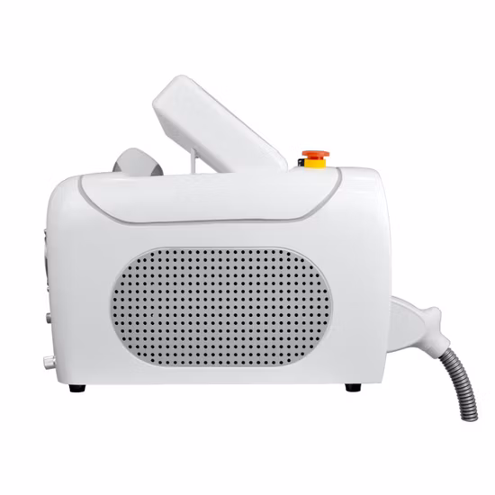 Renlang IPL Hair Removal Device Series Most Popular Model Portable IPL Depilation